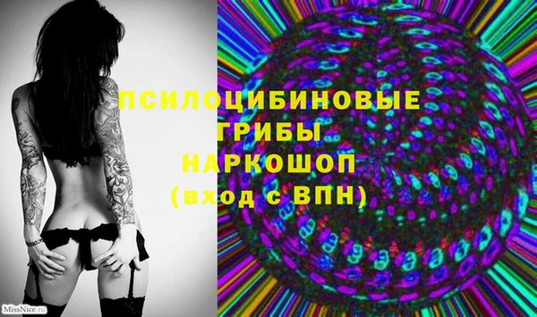 шишки Богородицк