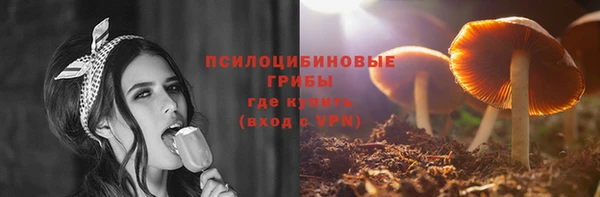 шишки Касимов