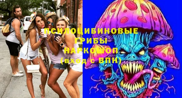 шишки Богородицк