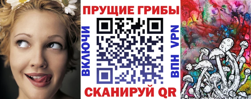 mega как войти  Великие Луки  Псилоцибиновые грибы GOLDEN TEACHER 
